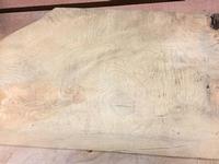 Curly Ash - 2-3/4" x 23-1/4" x 105"